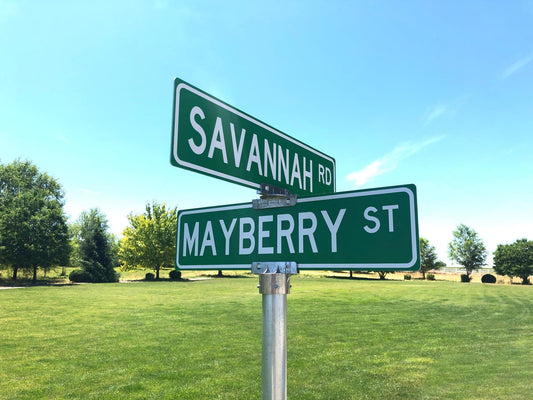 Personalized Street Sign, Street Sign, Street Signs